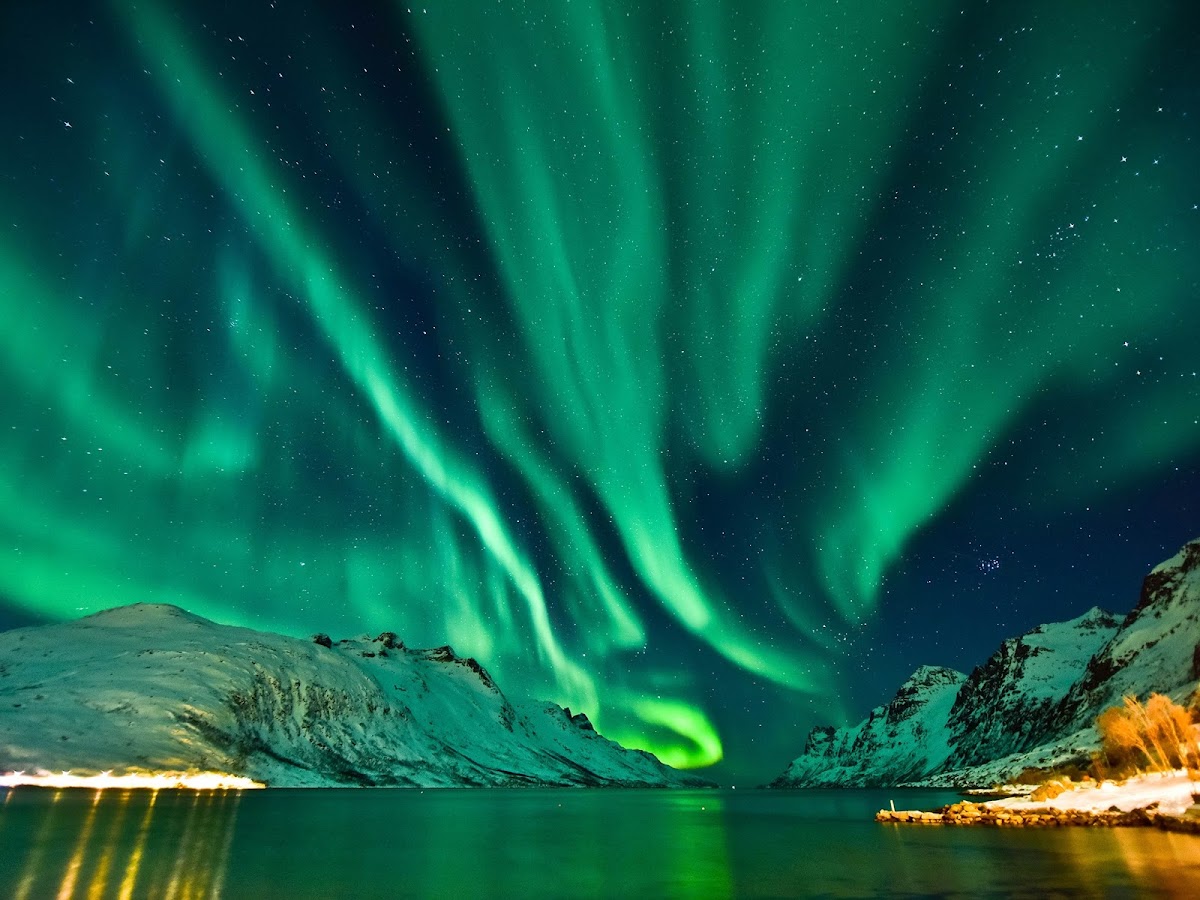 fårehyrde Alaska generøsitet 5 Best Places to See Northern Lights in Norway
