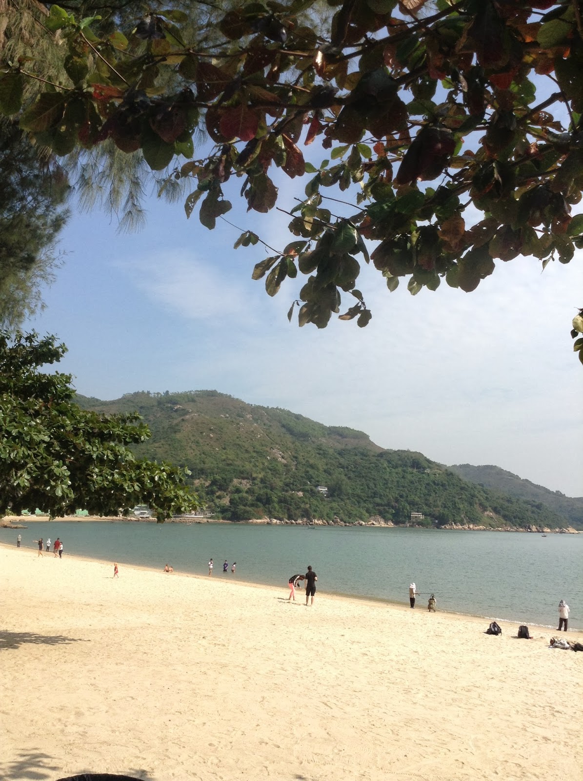 Dim Sum and Long Runs The best Nachos this side of Sydney