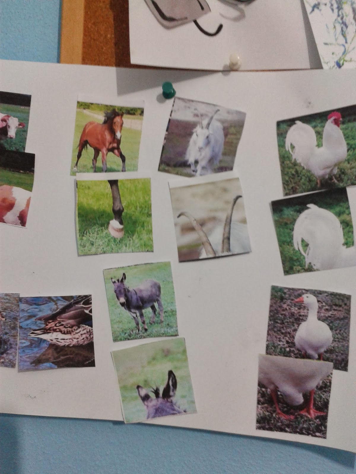 ALİ DENİZİN TARİHİNE DÜŞÜLEN NOTLAR...: Ekim 2013