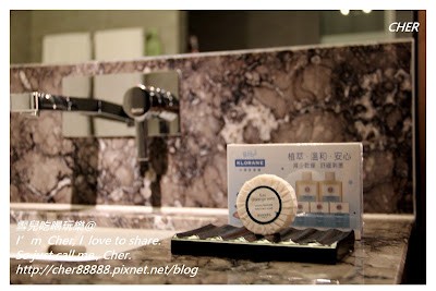 台南晶英酒店親子之旅@台南觀光客行程&一歲小小孩遊玩攻略@行