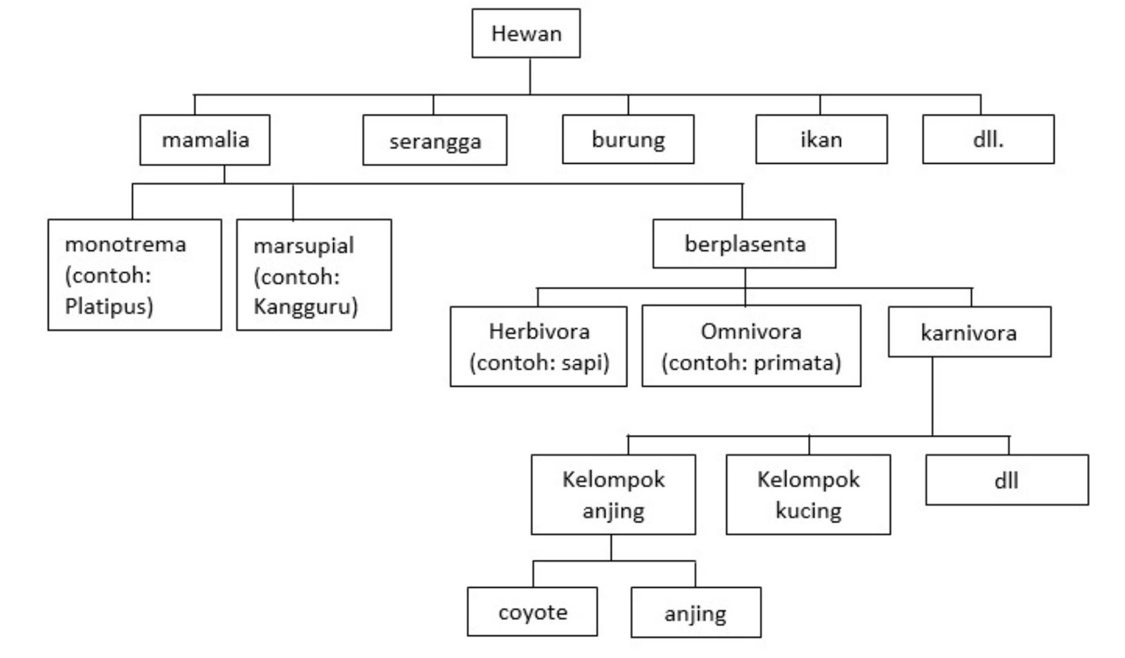 Panduan Lengkap Memahami Diagram Skema Selang Vakum Starlet