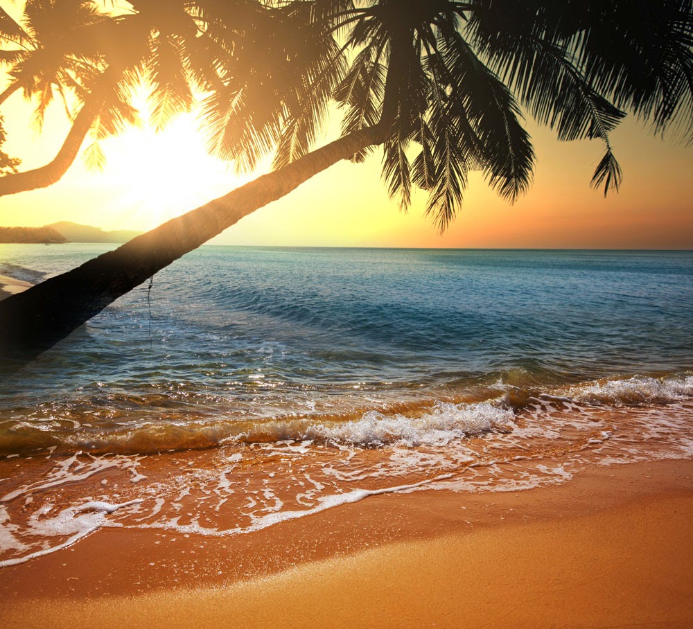 Barefoot Traveller Beach and Relaxation