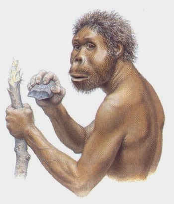 Человек прямоходящий. Неандерталец это человек прямоходящий. Хомо хабилис Палеоантропы. Хомо хабилис и рудольфенсис. Человек умелый прямоходящий.