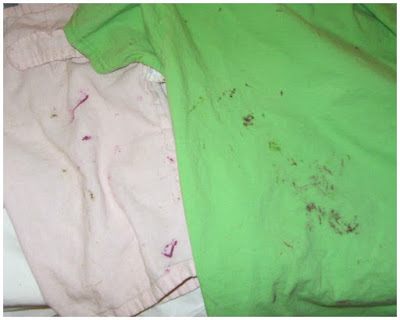 CONTROLLING Craziness: Saving Crayon Stained Clothes