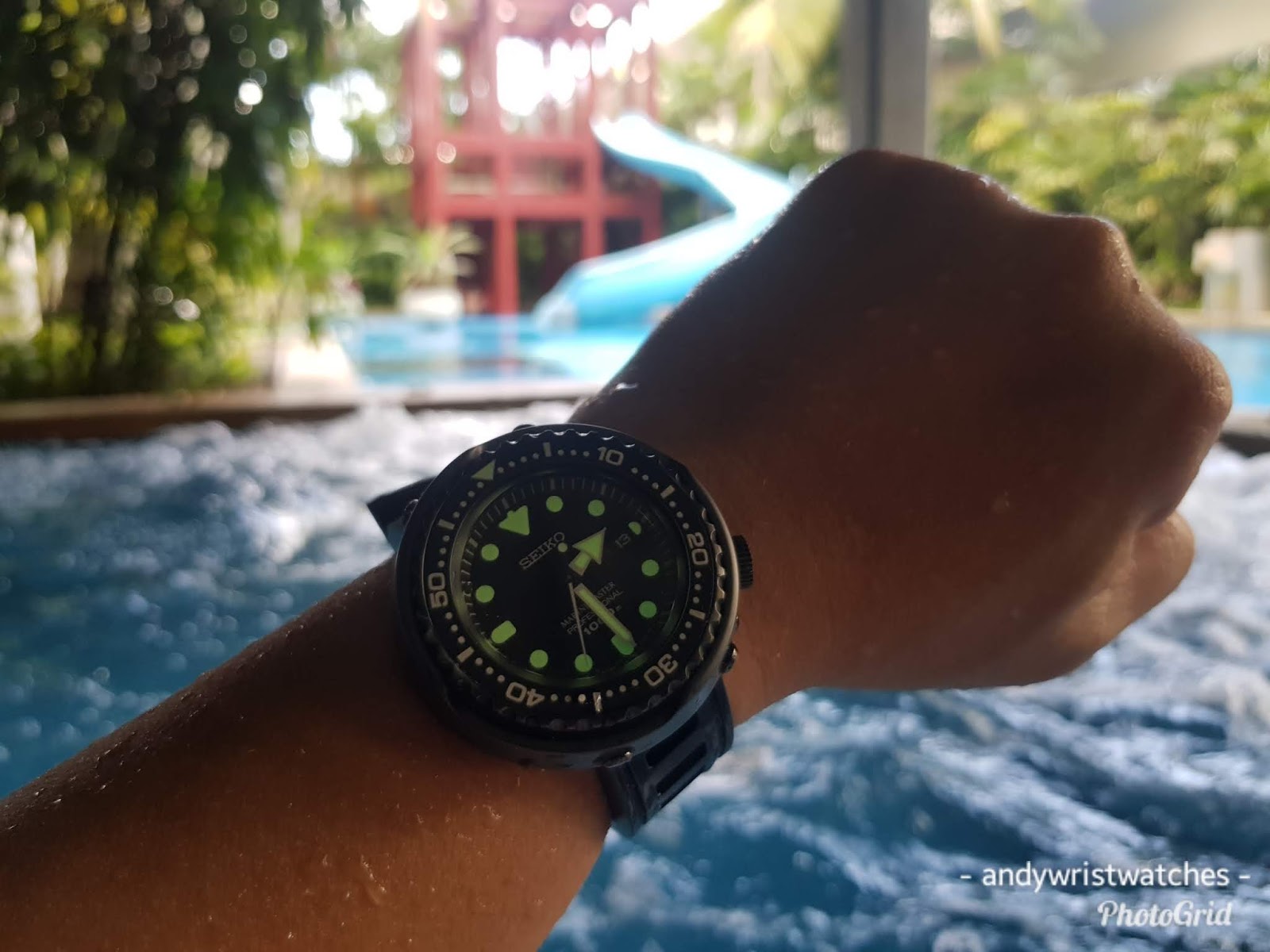 Csegment Wrist Watches Seiko Trivia Seiko Turtle "Apocalypse"