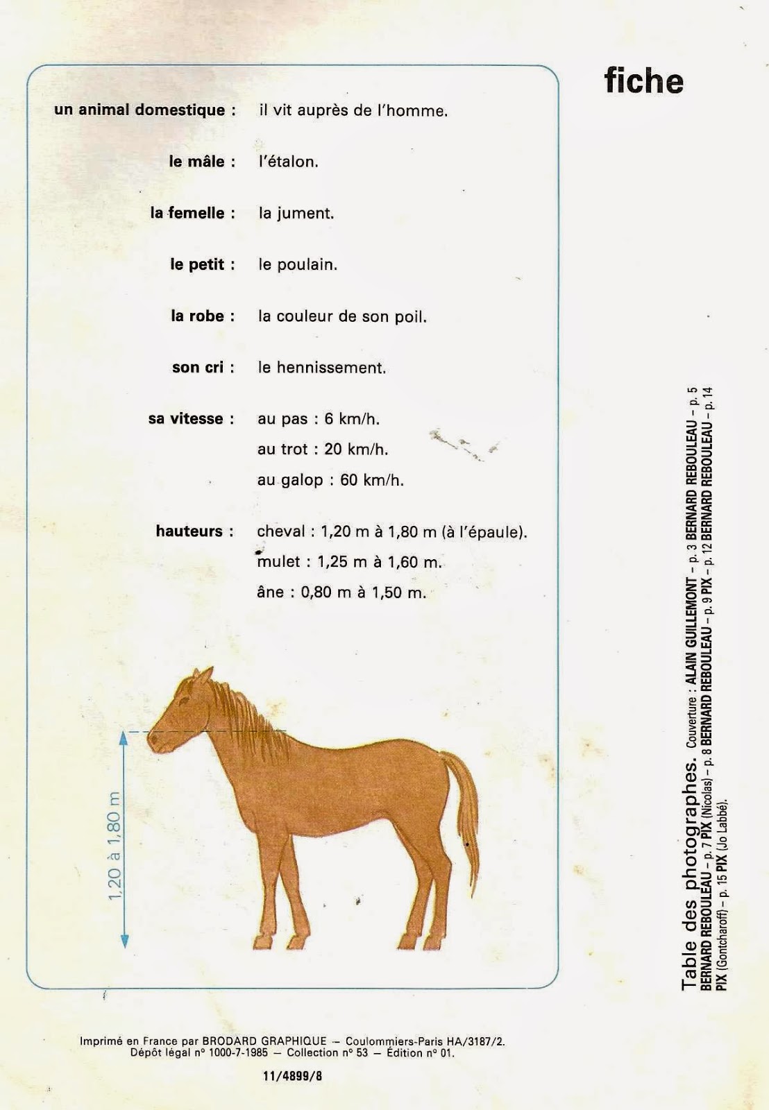 Leçons de choses Le cheval Leçons de choses Le cheval