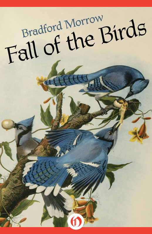 Fall bird. Bird на обложку. Барбара Морроу книги.