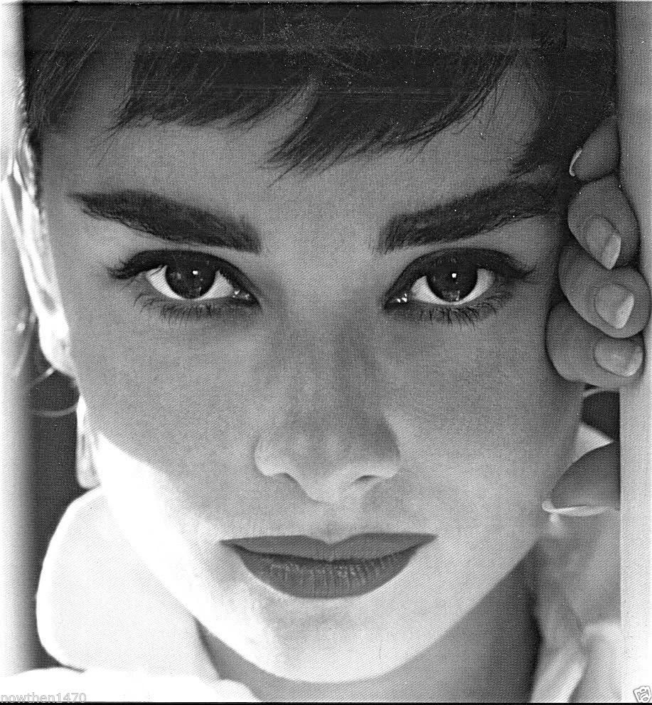 British Actress Audrey Hepburn Photographs