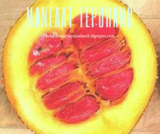 Isi buah Tepurang Isi buah Tepurang