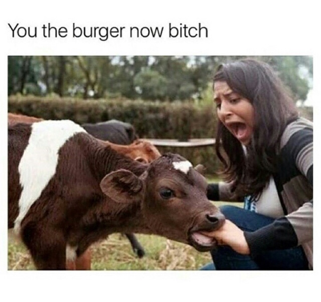 39 Funny Memes Pictures To Make You Happy