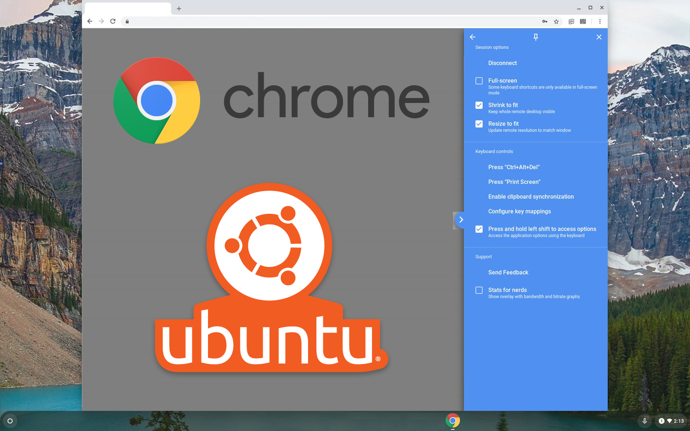 chrome for ubuntu download
