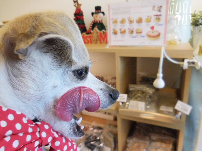 HAPPY Goes to Korean Dog Bakery