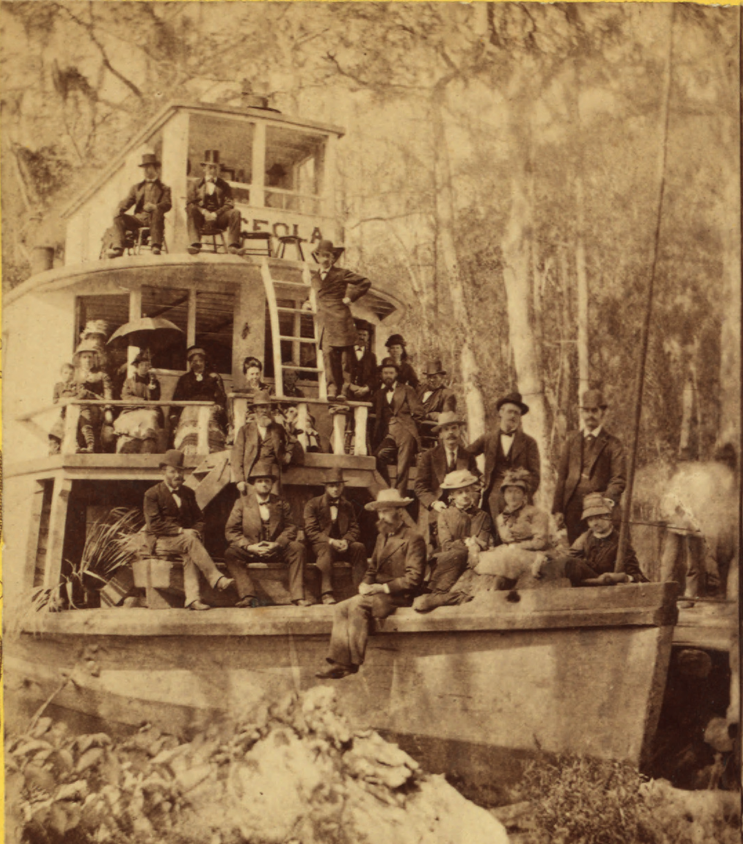 Musings . . . by Karen Lynn Allen Head in the Beaufort Clouds