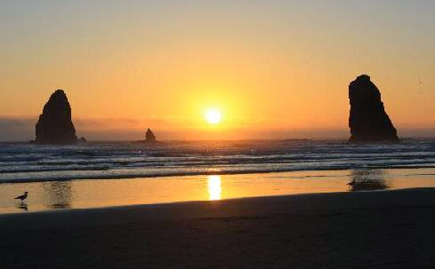 Cannon Beach Tourism: 28 Things to Do in Cannon Beach, OR
