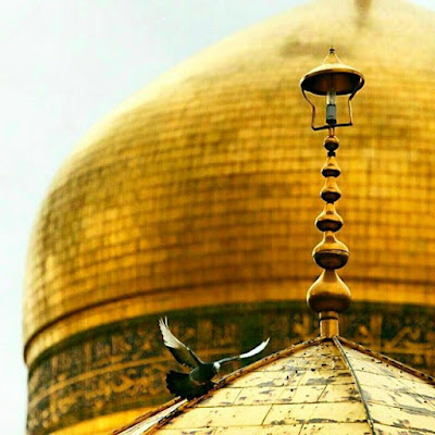 صور الامام الحسين عليه السلام صور الامام الحسين عليه السلام