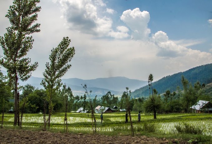 Unseen Kashmir – Bangus and Lolab Valley - Wadi - E - Lolab
