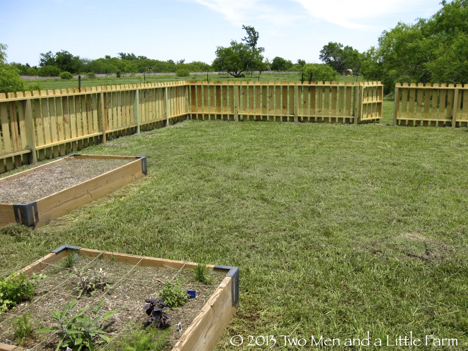 Two Men and a Little Farm: RAISED BED GARDEN FENCE UNVEILING