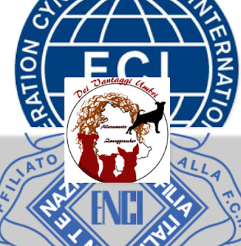 Allevamento riconosciuto Enci-FCI