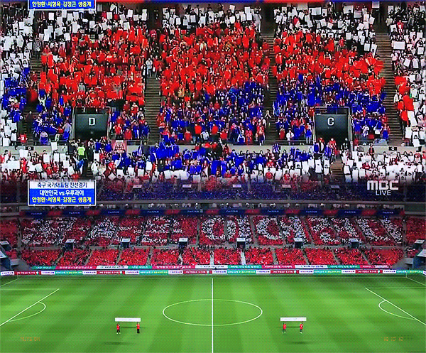 우루과이전에서 나온 카드섹션 장면.gif | 인스티즈