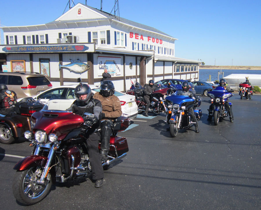 bear on a motorcycle