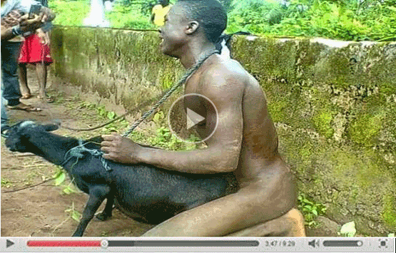 This man was caught having sex with a goat in Ogun.