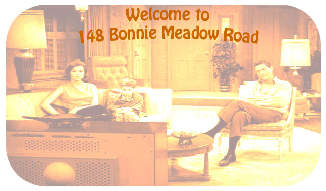 148 Bonnie Meadow Road
