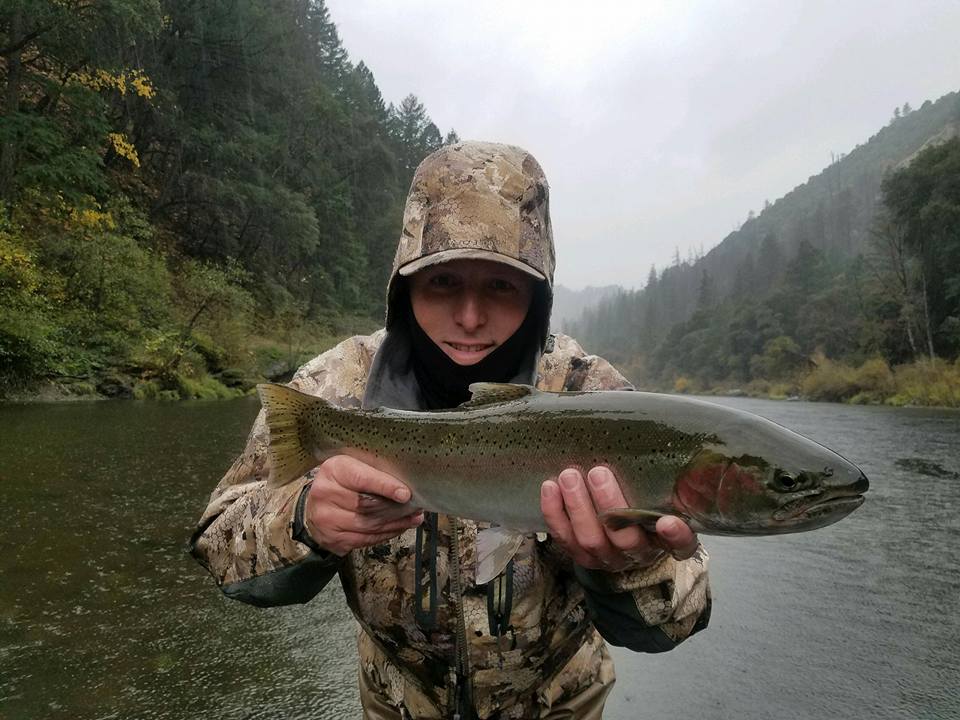 Nor Cal Fly Guides Ncfg Blog Northern California Fly Fishing Guide