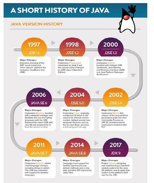 История создания языка программирования java. История возникновения языка java. Infographic. History of java programming language. История возникновения языка java.