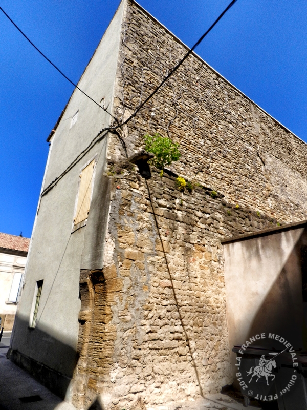LA FRANCE MEDIEVALE SAINTECECILELESVIGNES (84) Tours et remparts
