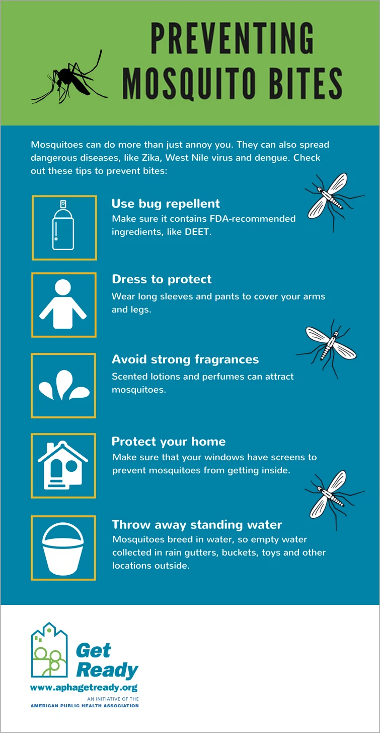 Artistic Mosquito Bites Safety Tips Artwork Illustration