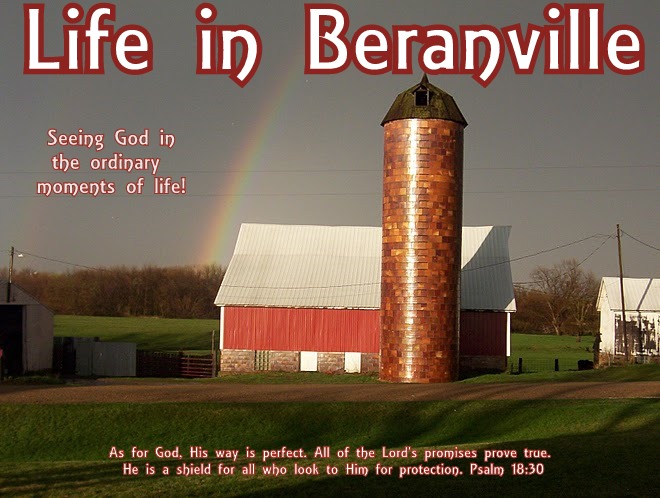 Life in Beranville