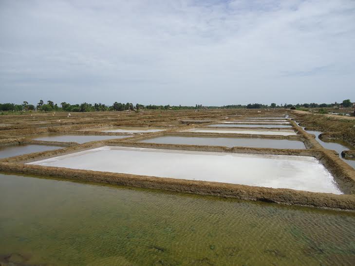 Bildergebnis für உப்பு வயல்