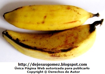 Plátanos de la Isla Foto de plátanos listos para pelarlos y comerlos
