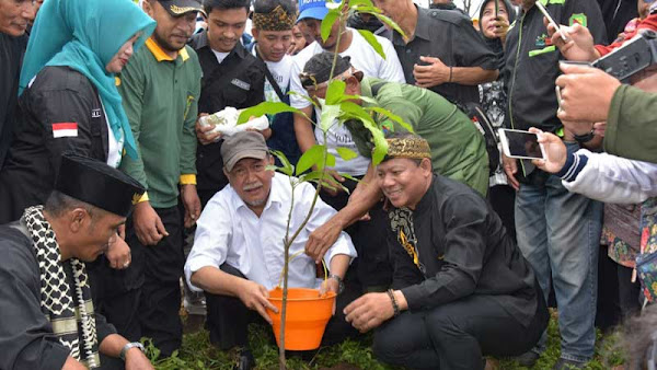 Demiz : Kawasan Hijau di Jawa Barat Sudah Mencapai 37% Demiz : Kawasan Hijau di Jawa Barat Sudah Mencapai 37%