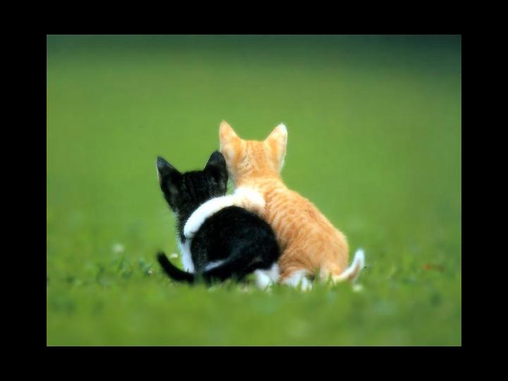 Your comments cheer my heart!