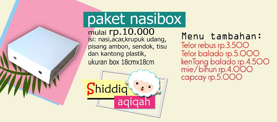 nasibox