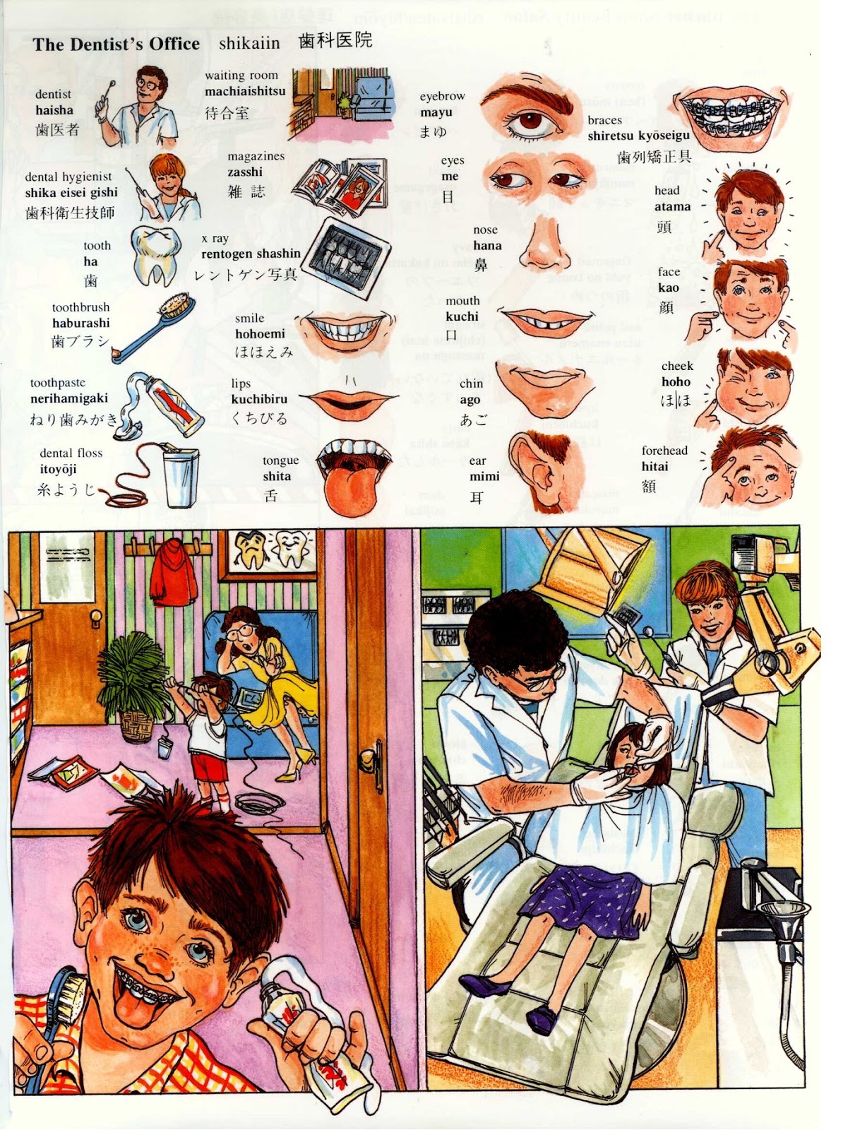 Japanese For Beginners: 11 the doctor's office.