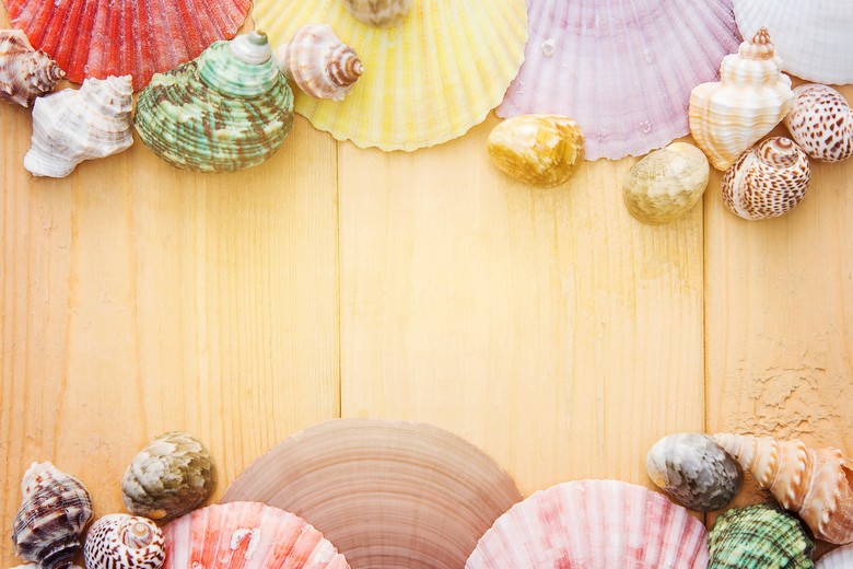 25 idées d'articles à écrire cet été coquillages