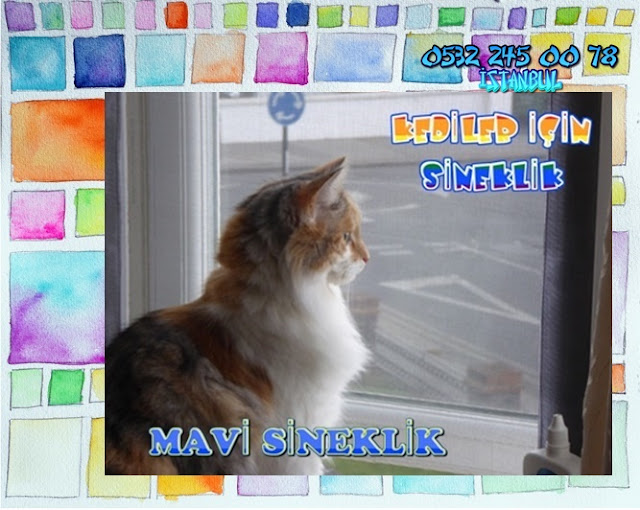 Kedi sinekliği, Sineklik, Her pencereye Uygun, Sineklik çeşitleri, Mavi