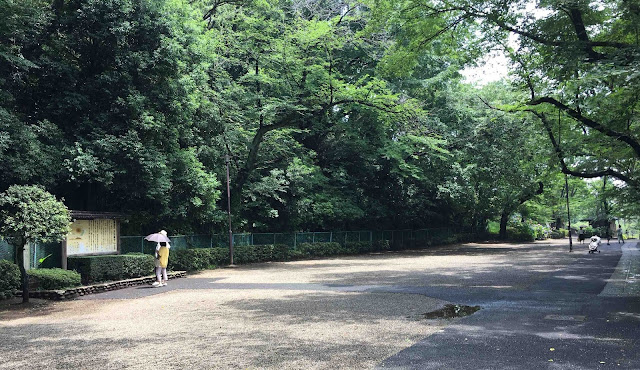 東京で発見した古墳と古墳群。そして浄水場跡を利用した多摩川台公園【c】　亀甲山古墳　多摩川台公園