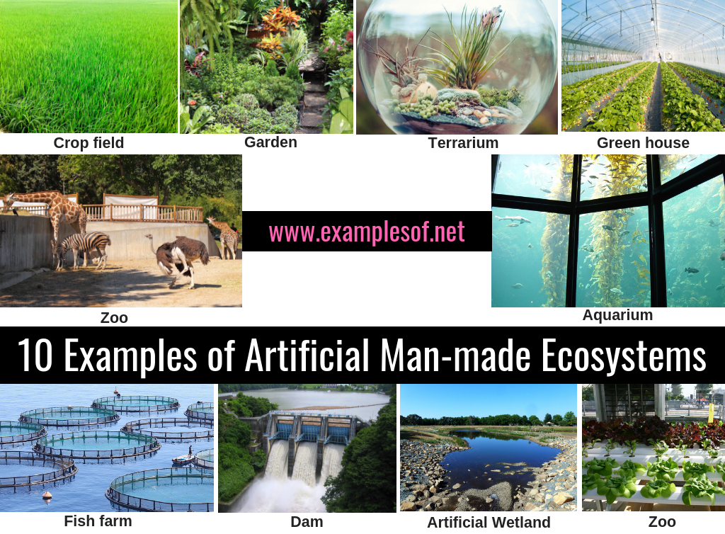 10 Examples of Artificial Manmade Ecosystems