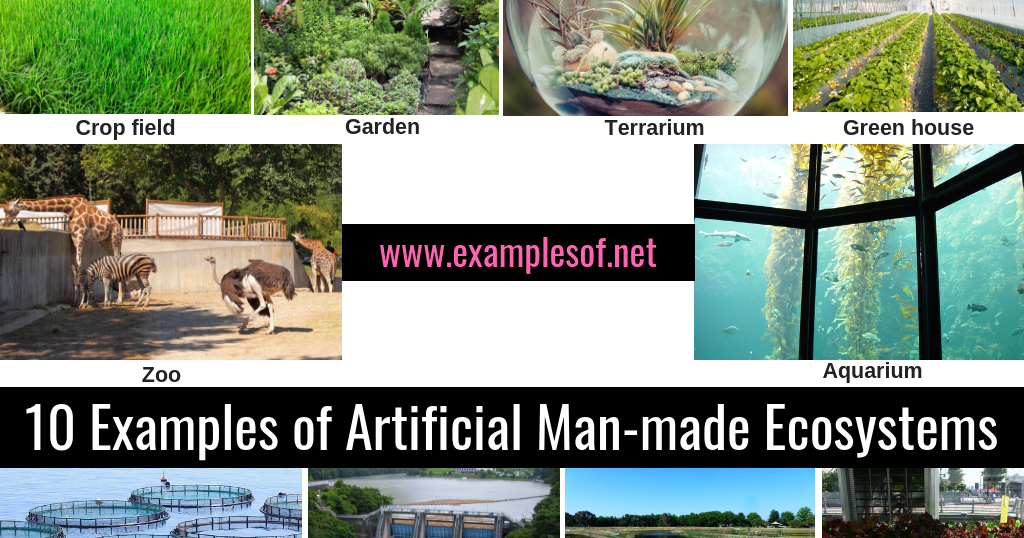10 Examples of Artificial Manmade Ecosystems