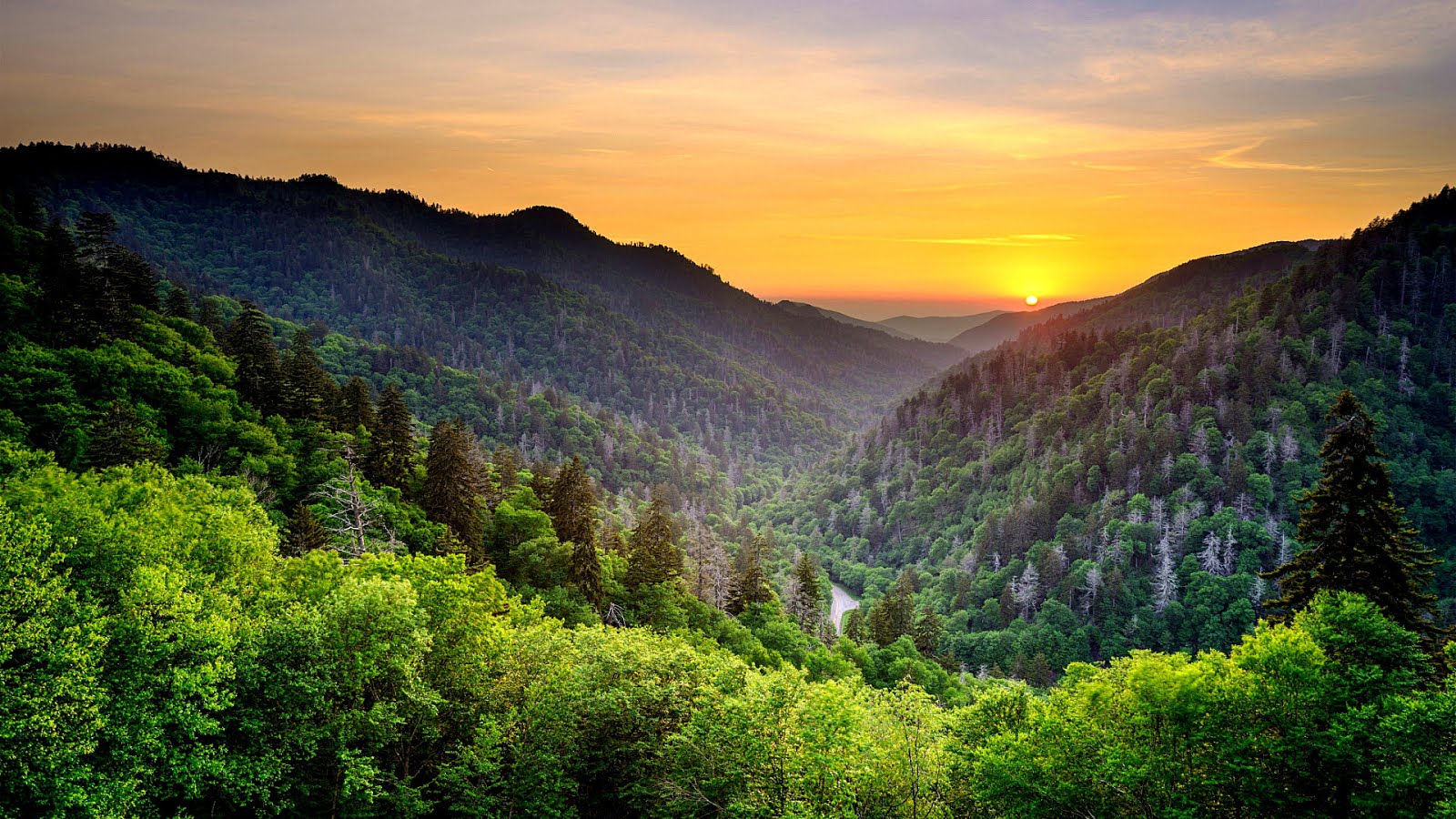 Great Smoky Mountains National Park Trip to Park