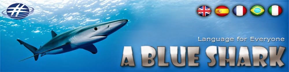 A Blue Shark