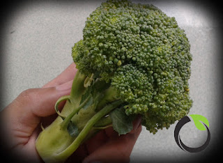 Brokoli baik untuk bayi yang pertama mengenal sayuran