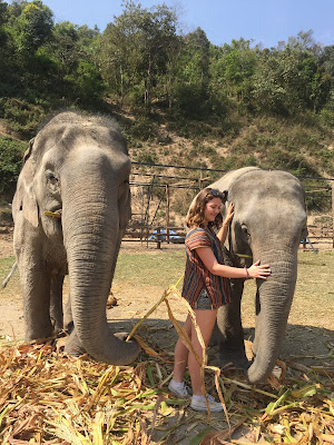 Choosing the right elephant sanctuary in Thailand