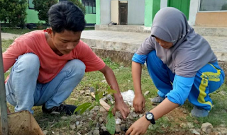 Tanam Pohon di Sekolah cerpen