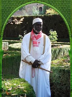 Sheikh Harun Rashid Faye, Guide