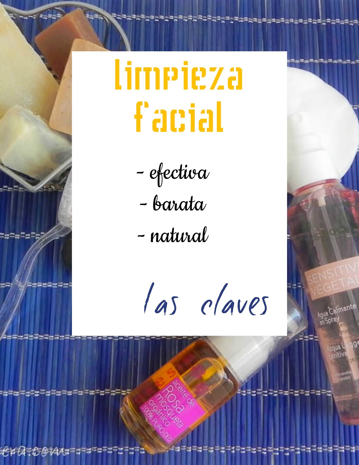 Radiador Perfecto:  Limpieza Rápida Y Efectiva (Paso A Paso) - wc9qsx5
