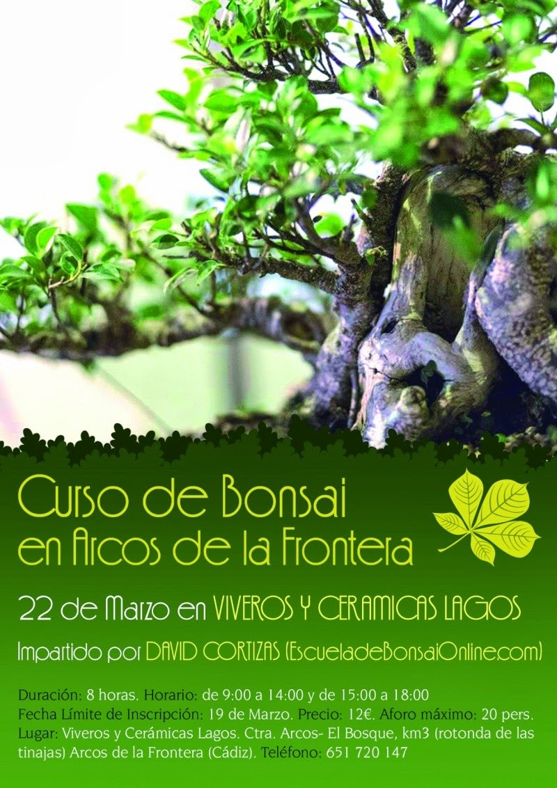 Exposiciones Bonsái Curso de Bonsai en Arcos de la Frontera